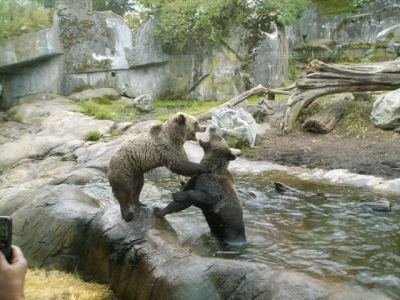 Юг Швеции и Готланд август 2007_14