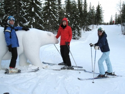 Швеция Сэлен Новый год 2008_1