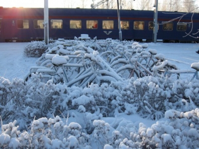 Швеция Сэлен Новый год 2008_11