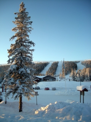 Швеция Сэлен Новый год 2009_1