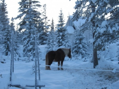 Швеция Сэлен Новый год 2009_19