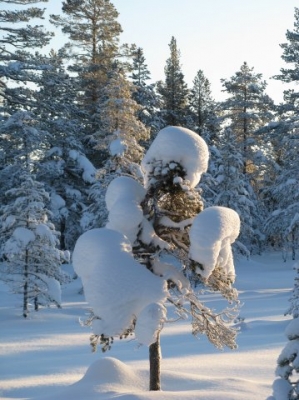 Швеция Сэлен Новый год 2009_28