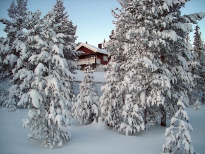 Швеция Сэлен Новый год 2009_32